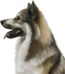 Dog head vector illustration