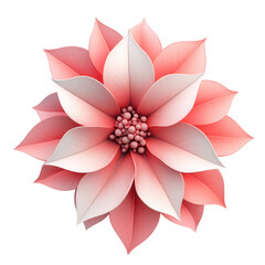 Fototapeta premium 3d icon beautiful with poinsettia blooming red and white petals christmas on a transparent background