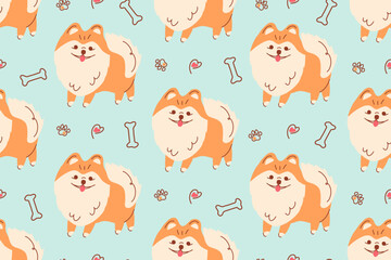 Seamless pattern of a Pomeranian Spitz. Cute dogs drawn in a flat style, purebred German Spitzes. Print for children clothing, dog clothing, fabric, and paper.
