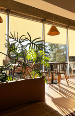 Bright and airy interior of a modern cafe featuring wooden furniture, large windows with soft yellow shades, and lush green plants creating a cozy atmosphere for relaxation and socializing