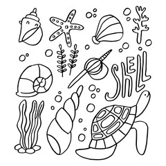 Marine doodle set. Sea and ocean fauna and flora. Summer beach vector illustration. Seashell hand drawn clip art.