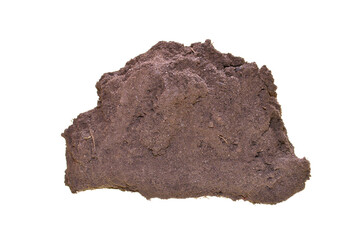 earth isolated on white background