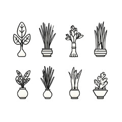 Fototapeta premium Set of Minimalistic Plant Icons in Pots for Modern Design and Creative Projects