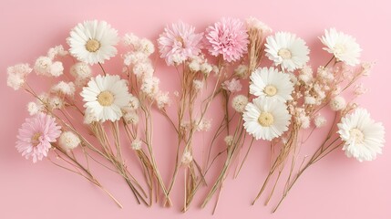 Fototapeta premium Pastel Pink and White Dried Flower Arrangement on Pink Background