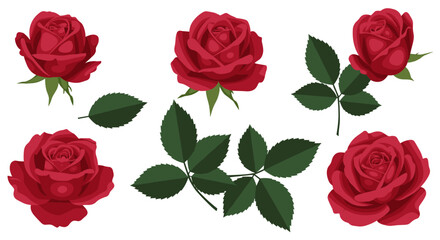 Roses and leaves vector illustration for floral design in flat style