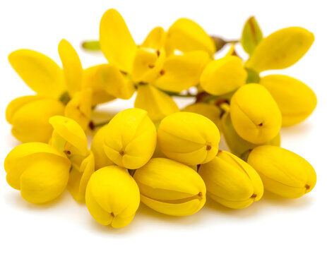 Image of Yellow Berberine