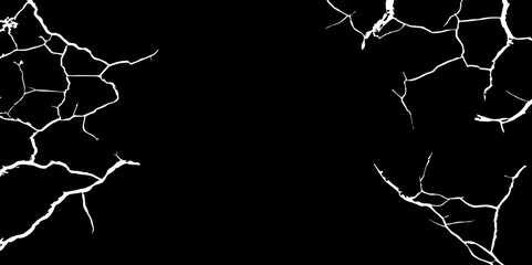 A stark,high-contrast black and white abstract image featuring intricate,fractured white lines resembling cracks or veins against a deep,dark background.The pattern suggests organic textures,dry earth