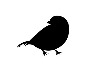 vector silhouette of a sparrow bird isolated on white background 