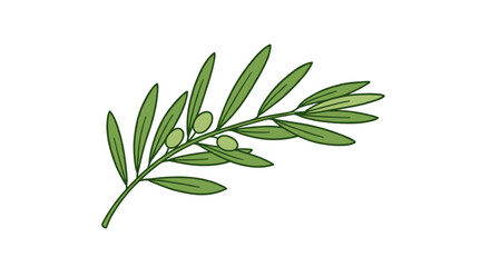 Fototapeta premium Olive branch vector illustration for design projects in flat style
