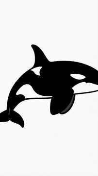 Monochrome orca illustration on white background, vector design showing a killer whale side view in minimalistic art style.