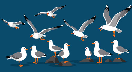 Fototapeta premium Seagulls in flight and resting vector illustration - coastal wildlife art for poster design in flat style