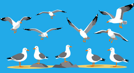 Fototapeta premium Seagull group gathering vector illustration for coastal nature design in flat style