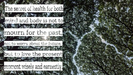 An uplifting quote on the secret to health mind and body, emphasizing present moment living,...