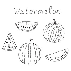 Watermelon doodle set, hand drawing, vector illustration