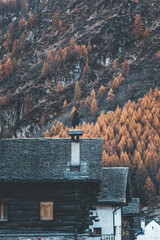 autumn in the swiss mountains a day of november and a small  house by the woods