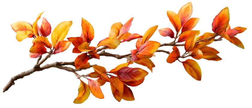 autumn leaves isolated on white - Powered by Adobe