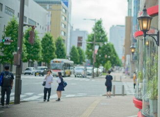 people walking on the street in Japan (Intersection with a road and a pedestrian path)