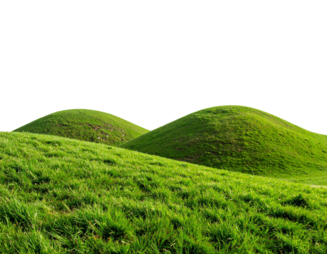 Lush green hills under a clear blue sky.