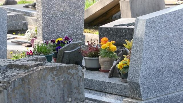 Vue de tombes fleuries et d&eacute;cor&eacute;es dans un cimeti&egrave;re de ville. Cela permet de rendre hommage au d&eacute;funt et de t&eacute;moigner son attachement et le respect envers cet &ecirc;tre cher.
