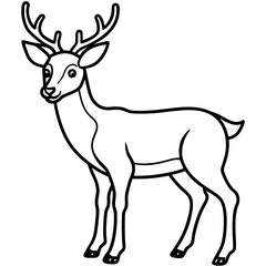 Fototapeta premium Deer line art vector