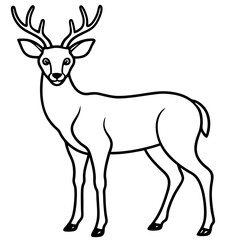 Deer line art vector