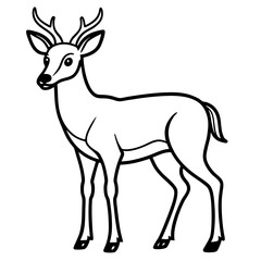 Deer line art vector