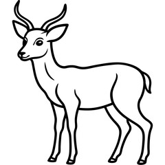 Fototapeta premium Deer line art vector