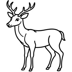 Fototapeta premium Deer line art vector