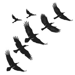 black-silhouette-vector-of-birds-in-flight--white- (1)