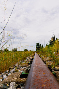 abandoned railway tracks with vegetation