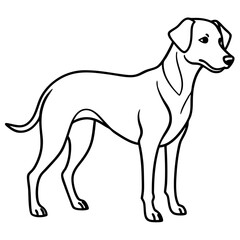 dogs line art vector