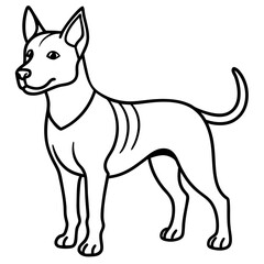 dogs line art vector