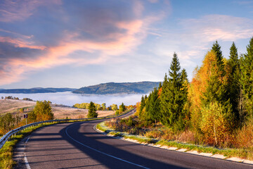 Fototapeta premium Quiet road through foggy autumn hills surrounded by frosty air and orange forest. Chilly woodland roadway captured in peaceful fall colors and highland landscape