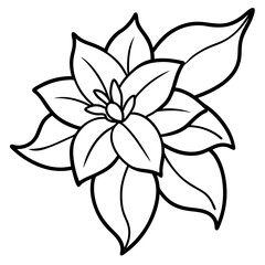 Fototapeta premium Jasmine line art vector