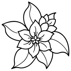 Jasmine line art vector