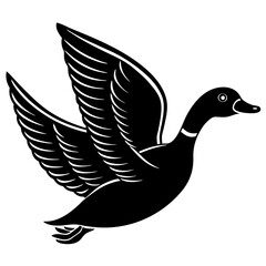 vector illustration of a duck