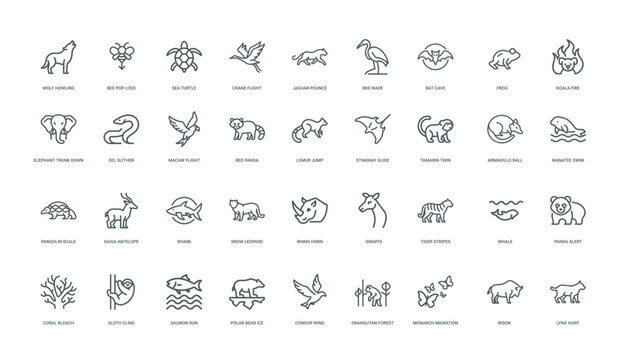 collection linear icons endangered wildlife species environmental concerns