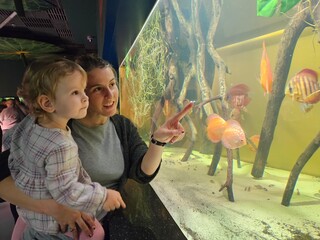 Woman and a young child are standing in front of a fish tank, observing the colorful fish swimming...