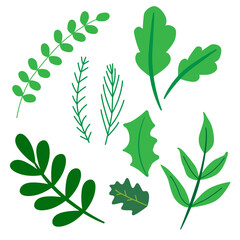 일러스트, 기념일, 삽화, 도안, 그림, 식물, 자연, 나뭇잎, 잎, 환경, 네이처, 봄, 가지, 세트, 계절, 데코, 나무, 초록색, 장식, 스티커, illustrations, anniversaries, illustrations, designs, drawings, plants, nature, leaves, leaves, environment, nature