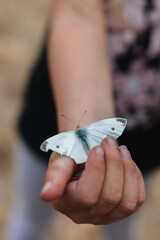  Close-up of a child’s dirty hands gently holding a white butterfly, capturing a raw, natural moment of curiosity and connection with nature