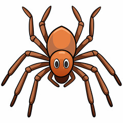 spider on a white background