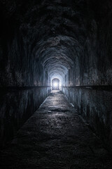 Obraz premium inquadratura verticale e panoramica di un lungo corridoio all'interno di un antico bunker abbandonato, buio e umido, illuminato in controluce da una luce fredda