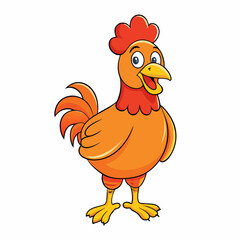 rooster isolated on white background
