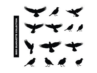 Vector Bird Silhouette Collection, Flying, Perching, and Soaring Birds for Graphic Design