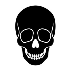 human skull isolated on white background