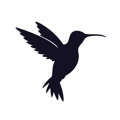 Flying hummingbird silhouette vector icon.