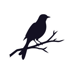Blackbird or Magpie on a Branch Silhouette Vector Icon Graphic.