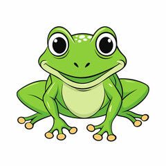 green frog vector illustration