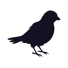 Fluffy Finch or Sparrow Standing Silhouette Vector Icon Graphic.