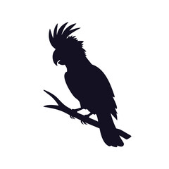 Tropical Cockatoo Pet Bird Silhouette Vector Icon.